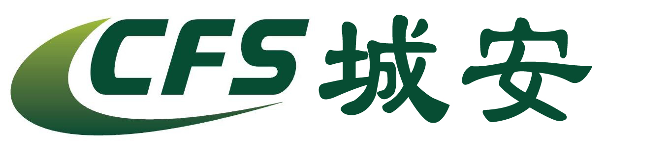CFS城安盛邦（北京）網路科技有限公司