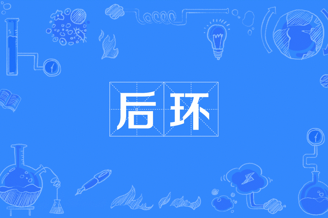 後環 後環