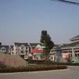 百壽村(浙江省嘉興市平湖市曹橋街道下轄村) 百壽村(浙江省嘉興市平湖市曹橋街道下轄村)