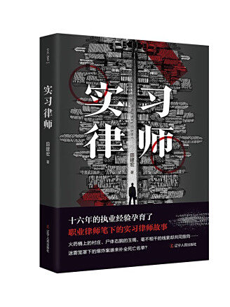 實習律師(2023年遼寧人民出版社出版的圖書)