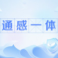 通感一體
