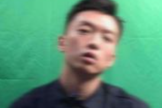 Wayne調查 Wayne調查