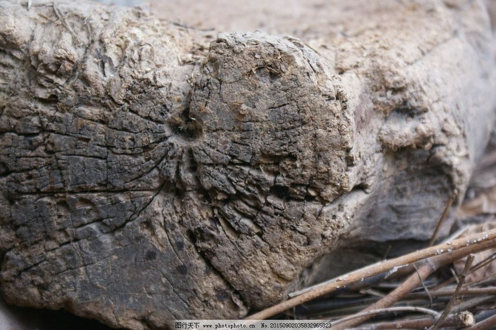 生物腐蝕 生物腐蝕