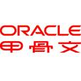 甲骨文公司(美國Oracle公司) 甲骨文公司(美國Oracle公司)