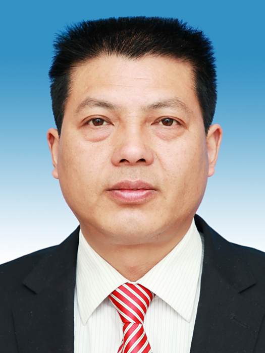王成華(安徽省金寨縣自然資源和規劃局總工程師) 王成華(安徽省金寨縣自然資源和規劃局總工程師)