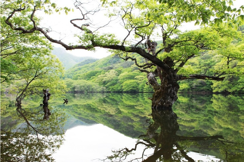 注山池 注山池