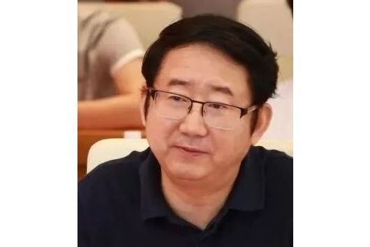 蘇毅(洪濤股份董事) 蘇毅(洪濤股份董事)