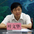 葉文華(湖北省赤壁市委常委、常務副市長) 葉文華(湖北省赤壁市委常委、常務副市長)