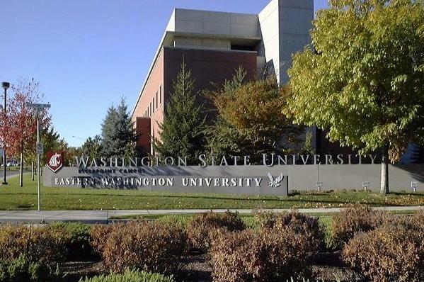 華盛頓州立大學