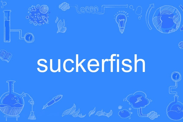 suckerfish suckerfish