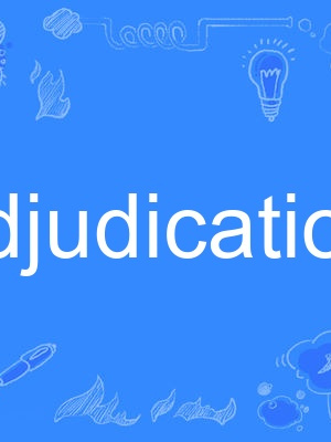 adjudication adjudication