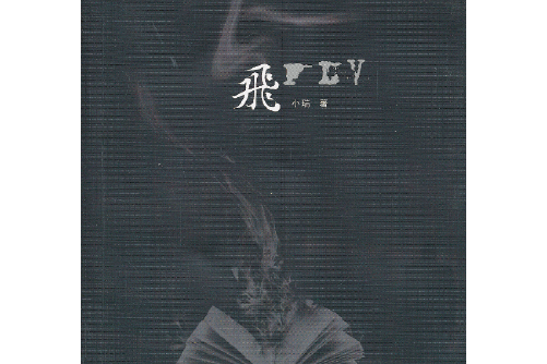 飛(2013年花城出版社出版的圖書) 飛(2013年花城出版社出版的圖書)