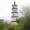 塔山村(浙江省紹興市新昌縣下轄村) 塔山村(浙江省紹興市新昌縣下轄村)