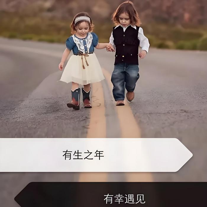 冷漠0791666 冷漠0791666