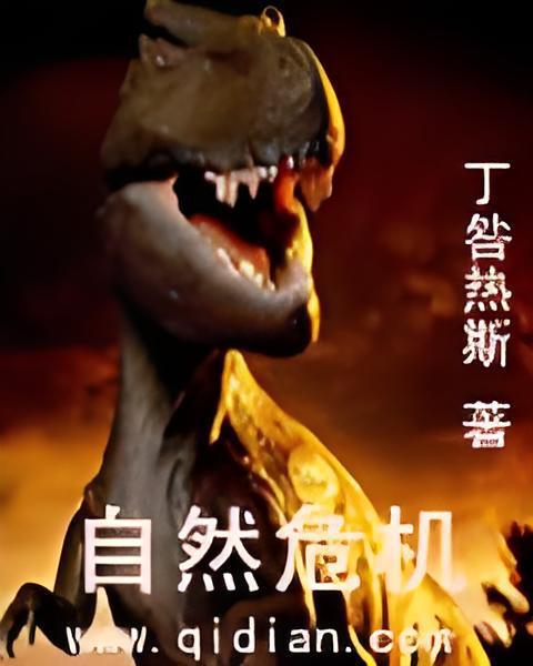 生靈卡 生靈卡