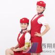 西翔航空 西翔航空