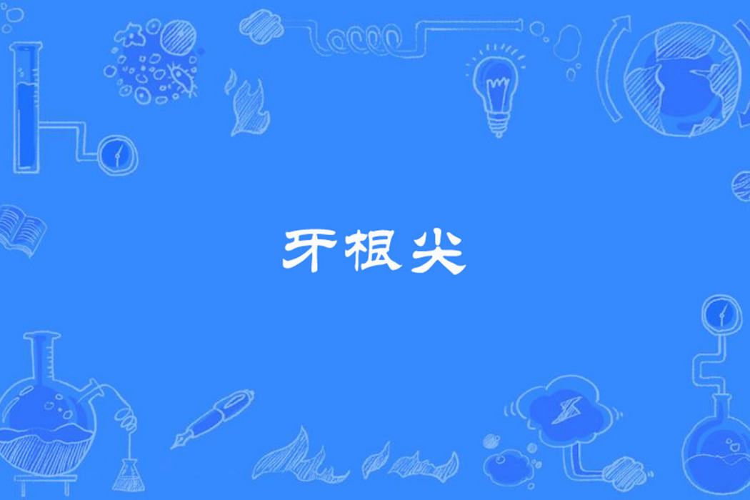 牙根尖 牙根尖