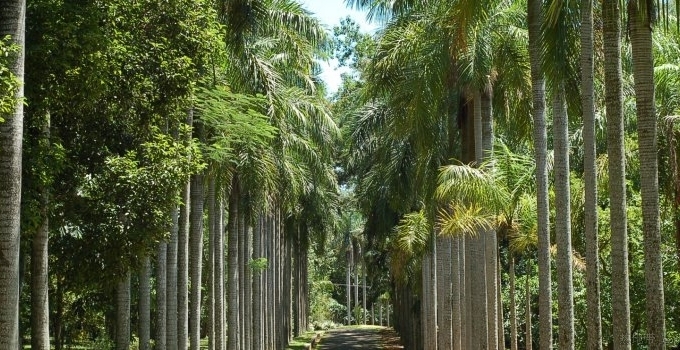 儋州熱帶植物園