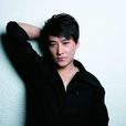 劉小鋒(中國內地影視男演員)