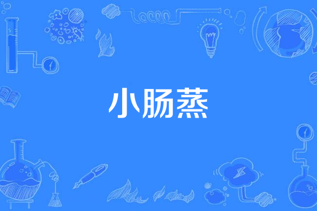 小腸蒸 小腸蒸