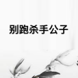 別跑殺手公子 別跑殺手公子