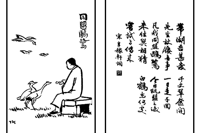 同盟鷗鷺 同盟鷗鷺