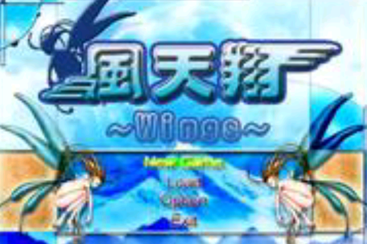 風天翔 風天翔