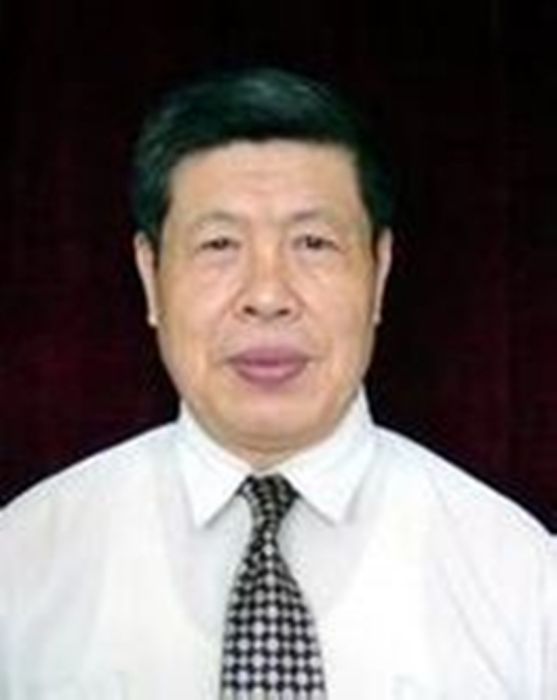 黃德武(南京理工大學教授) 黃德武(南京理工大學教授)