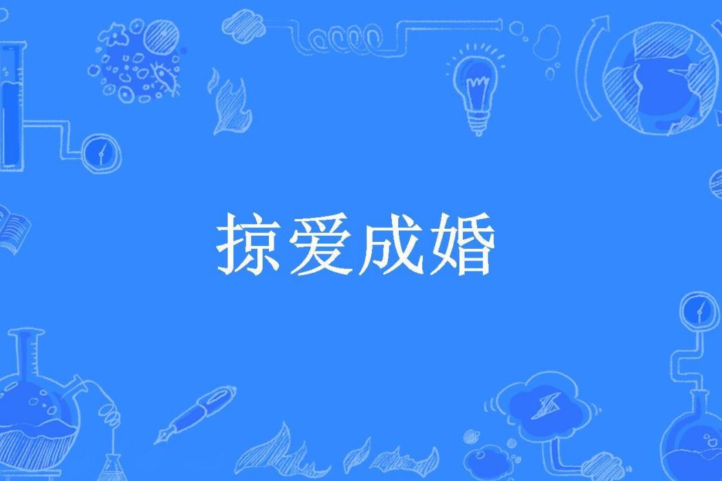掠愛成婚(咖啡不加糖所著小說) 掠愛成婚(咖啡不加糖所著小說)