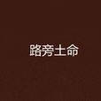 路旁土命