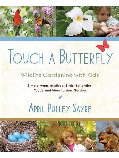 Touch a Butterfly Touch a Butterfly