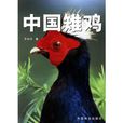 中國雉雞 中國雉雞