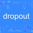 dropout dropout