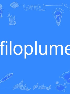 filoplume filoplume