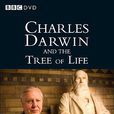 達爾文和生命之樹