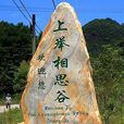 上舉相思谷 上舉相思谷