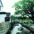 臨山村 臨山村