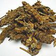 夏枯草提取物 夏枯草提取物