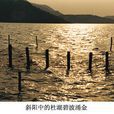 杜湖(浙江慈谿境內湖泊) 杜湖(浙江慈谿境內湖泊)