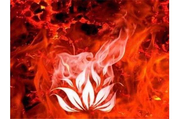 聖靈(《遮天》中的種族) 聖靈(《遮天》中的種族)