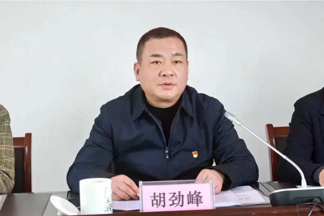 胡勁峰(湖南省益陽市南縣縣委原常委、政法委原書記) 胡勁峰(湖南省益陽市南縣縣委原常委、政法委原書記)