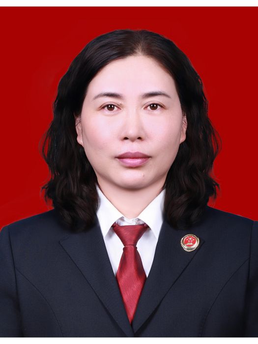 陳曉輝(漯河市源匯區人民檢察院黨組書記、檢察長) 陳曉輝(漯河市源匯區人民檢察院黨組書記、檢察長)