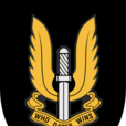 英國空軍特別空勤團第22團