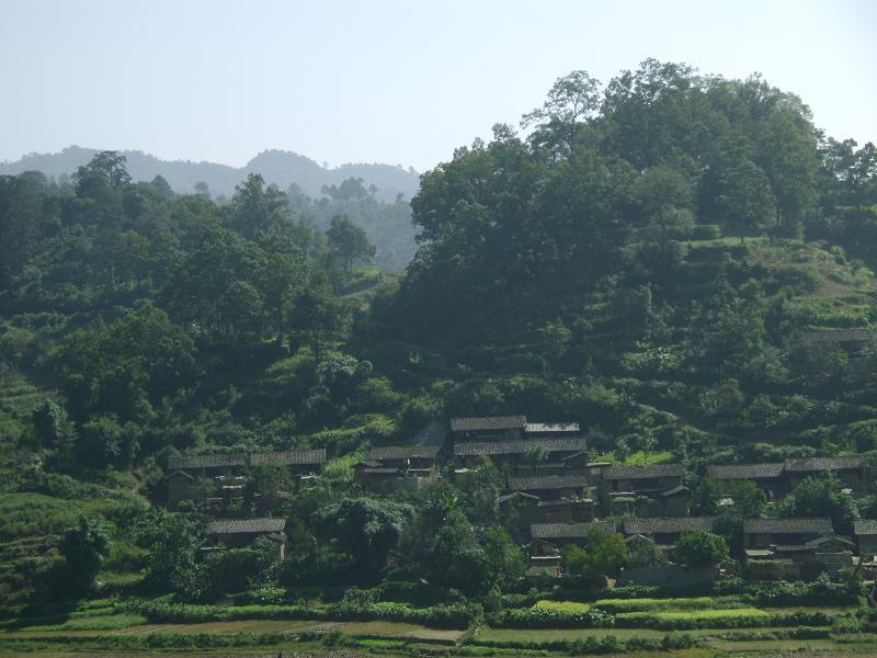 塘麻村 塘麻村