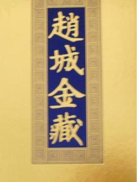 趙城金藏(2008年北京圖書館出版社出版的圖書) 趙城金藏(2008年北京圖書館出版社出版的圖書)