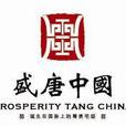 盛唐中國 盛唐中國