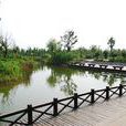 梁鴻濕地公園