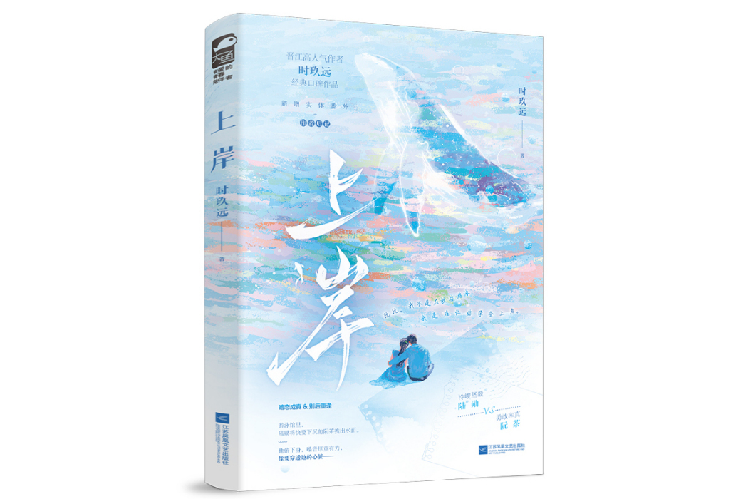 上岸(2024年江蘇鳳凰文藝出版社出版的圖書)