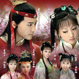 黛玉傳(2009年馬天宇、閔春曉主演電視劇) 黛玉傳(2009年馬天宇、閔春曉主演電視劇)