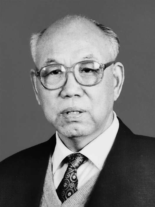 崔啟發(安陽市人大常委會原副主任) 崔啟發(安陽市人大常委會原副主任)